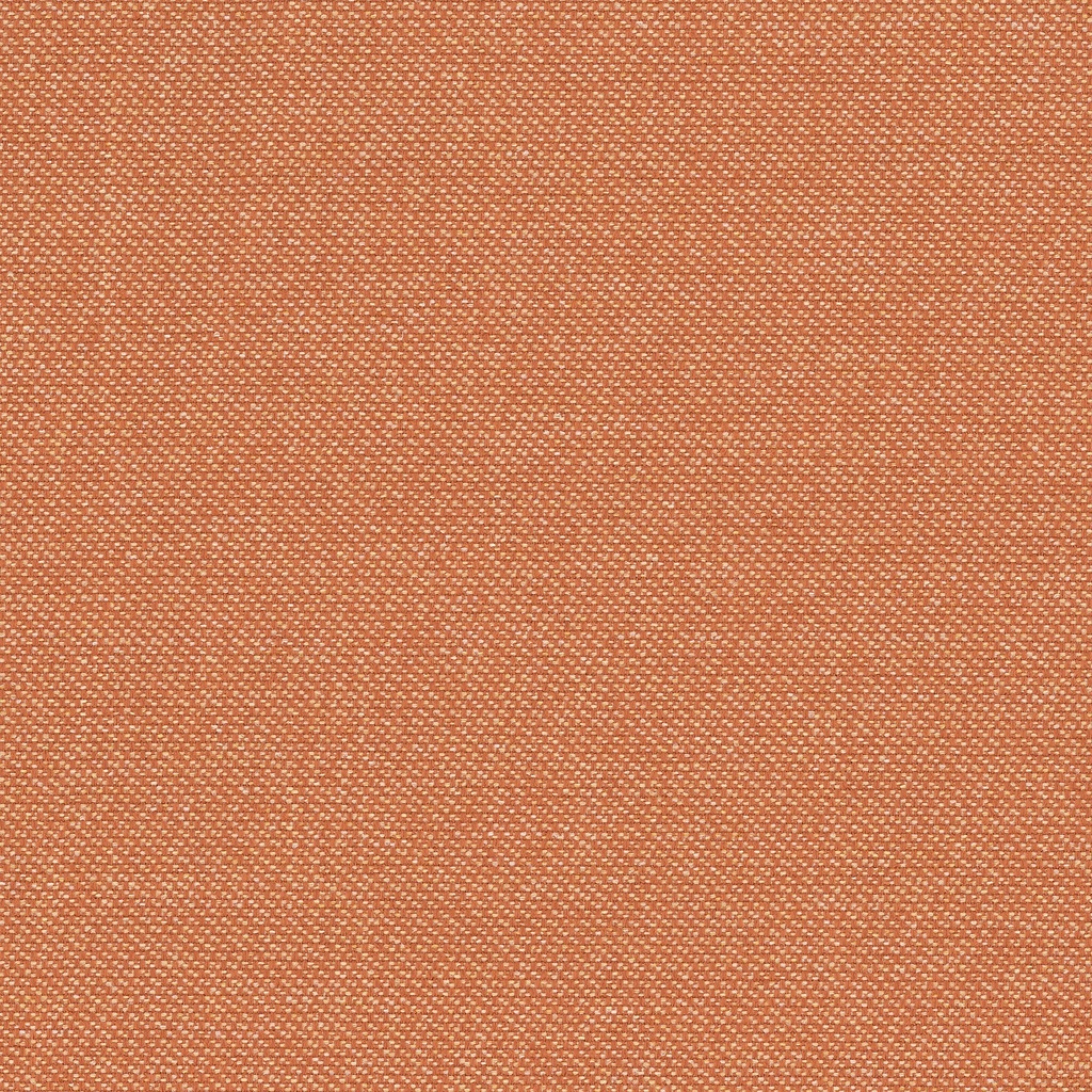 Image 14