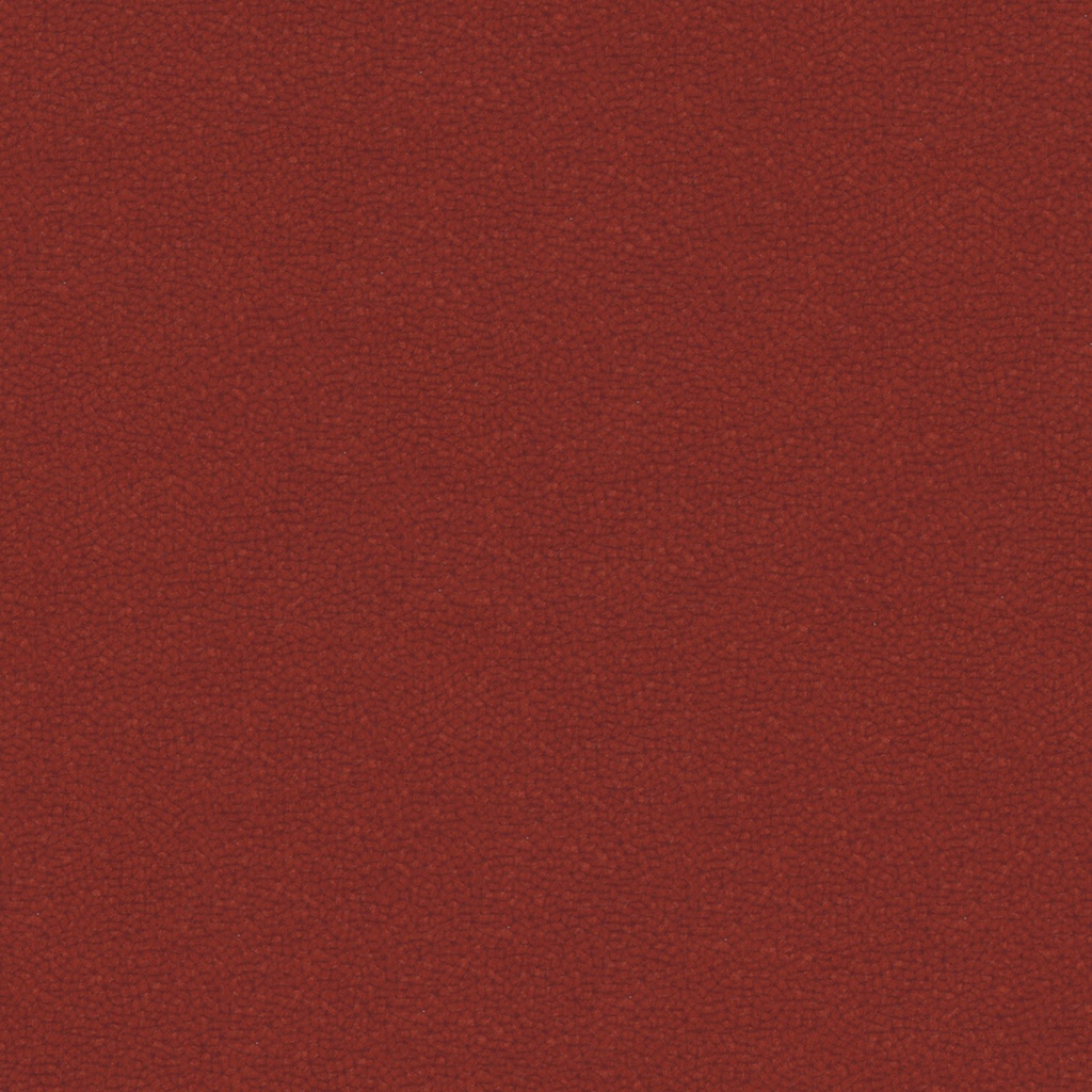 Image 17