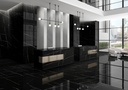 Porcelain — Sahara Noir Polished 1000 x 3000 - 6mm